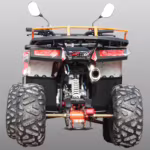 Rear view of ATV quad bike showing suspension and exhaust