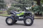 Green and black off-road ATV with large tires