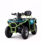 Quadriciclo YKF-F1 200 com quadro verde