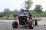 Vista traseira de um buggy off-road com gaiola de proteção.
