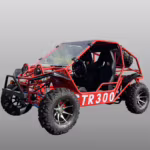 Red TR300 off-road dune buggy side view