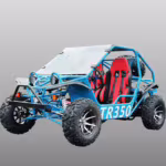Blue TR350 off-road dune buggy with red seats