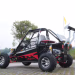 Black and red off-road dune buggy with roll cage