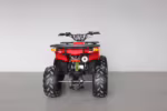 Red ATV rear view with cargo rack