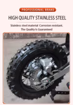 Motorcycle rear wheel with disc brake system