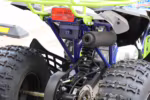 ATV rear suspension system with shock absorber and exhaust